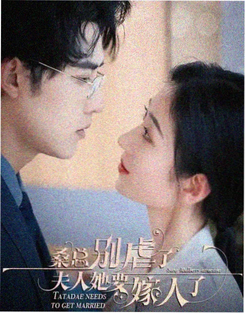 旧城晚风 生活剧在线观看